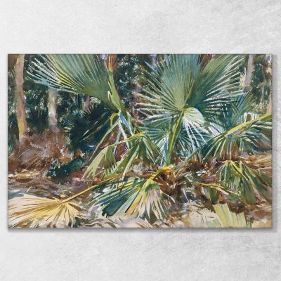 Palmiers Nains John Singer Sargent, jss212 tableau impression sur toile
