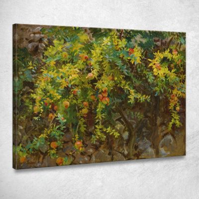 Melograni Maiorca John Singer Sargent jss217 quadro stampa su tela