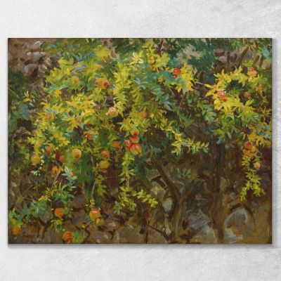 Grenades Majorque John Singer Sargent, jss217 tableau impression sur toile