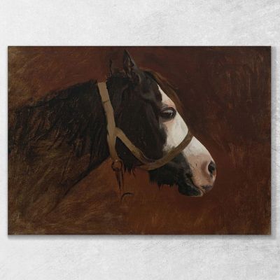 Profilo Di Un Cavallo Jean-Léon Gérôme jlg108 quadro stampa su tela