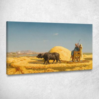 Le Trebbiatrici Del Grano Egitto Jean-Léon Gérôme jlg136 quadro stampa su tela