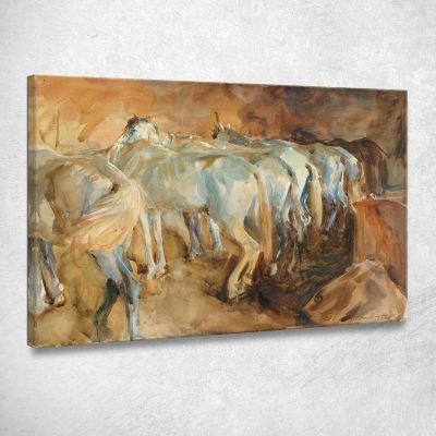 Cavalli Dell'Autobus A Gerusalemme John Singer Sargent jss32 quadro stampa su tela