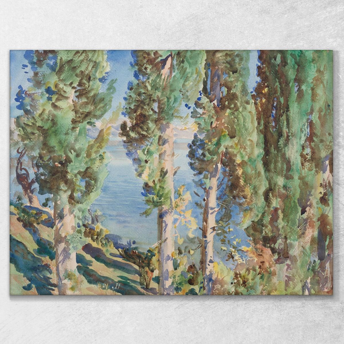 Cipressi Di Corfù John Singer Sargent jss50 quadro stampa su tela