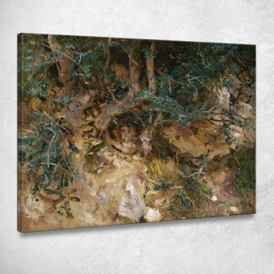 Valdemosa Maiorca Cardi Ed Erbe Su Una Collina John Singer Sargent jss353 quadro stampa su tela