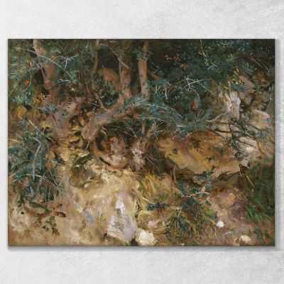 Valdemosa Majorca Thistles And Herbage On A Hillside John Singer Sargent, jss353 canvas print