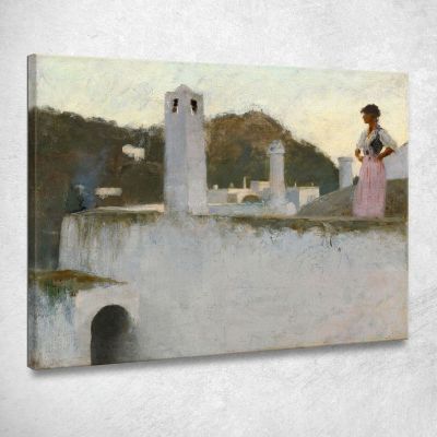 Veduta Di Capri John Singer Sargent jss365 quadro stampa su tela