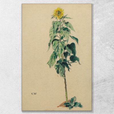 Girasole Karl Wiener kwn667 quadro stampa su tela