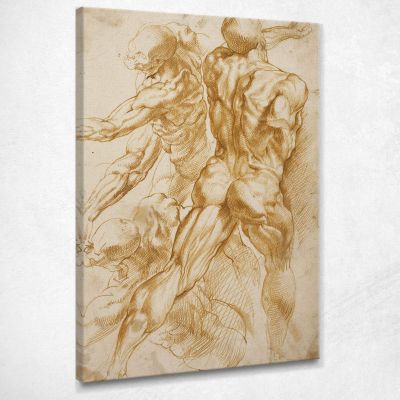 Studi Anatomici 2 Peter Paul Rubens ppr25 quadro stampa su tela