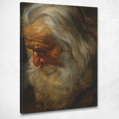 Studio Di Testa Di Un Vecchio Barbuto Peter Paul Rubens ppr86 quadro stampa su tela