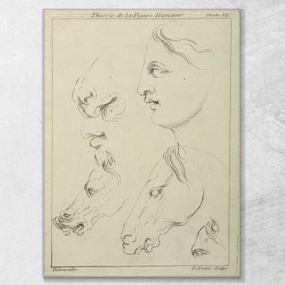 Horses Heads And Human Head In Profile Peter Paul Rubens, ppr97 canvas print