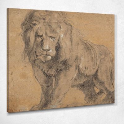 Leone Peter Paul Rubens ppr107 quadro stampa su tela