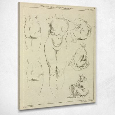 Studi Delle Natiche Del Torso Femminile E Della Vista Dorsale Delle Figure Sedute Peter Paul Rubens ppr187 quadro stampa su tela