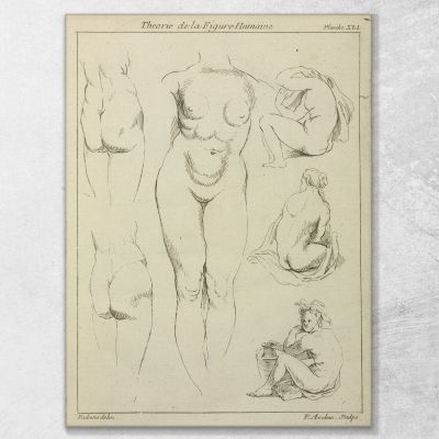 Studies Of The Female Torso Buttocks And Seated Figures Dorsal View Peter Paul Rubens, ppr187 canvas print