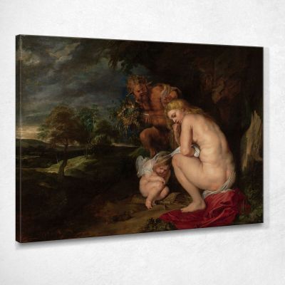 Venere Fredda Peter Paul Rubens ppr320 quadro stampa su tela