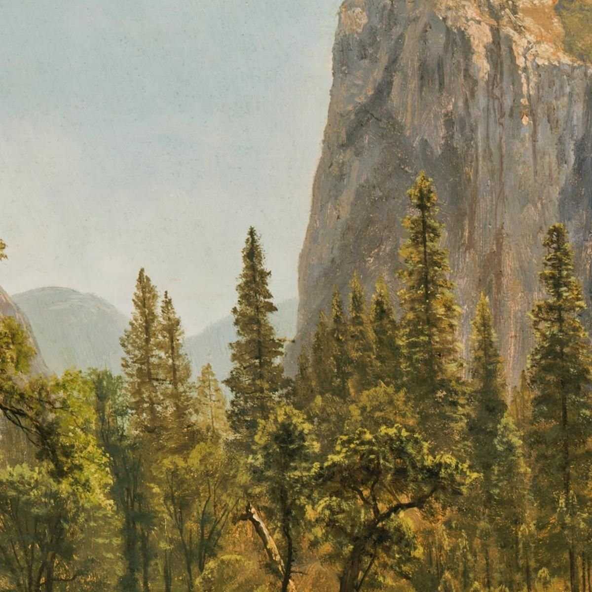 Il Velo Nuziale Cade Yosemite Valley California Albert Bierstadt abr6 quadro stampa su tela