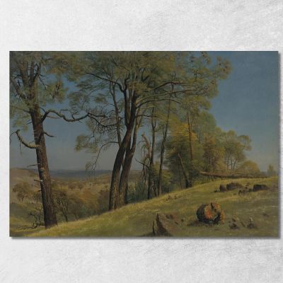 Contea Di Rockland California Albert Bierstadt abr82 quadro stampa su tela