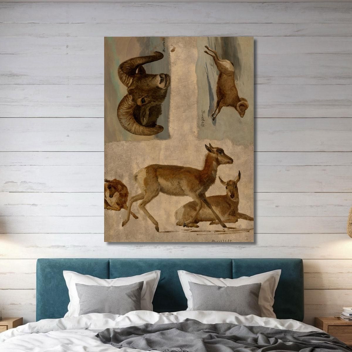 Estudio Del Borrego Cimarrón Y Del Antílope Albert Bierstadt