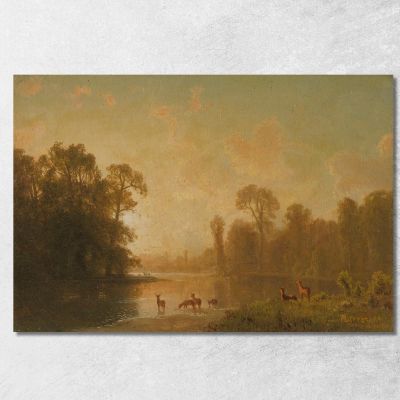 Crepuscolo Con Cervi Albert Bierstadt abr118 quadro stampa su tela