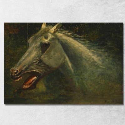 A Wild Stallion Uno Schizzo Ad Olio Originale Per The Last Of The Buffalo Albert Bierstadt abr141 quadro stampa su tela