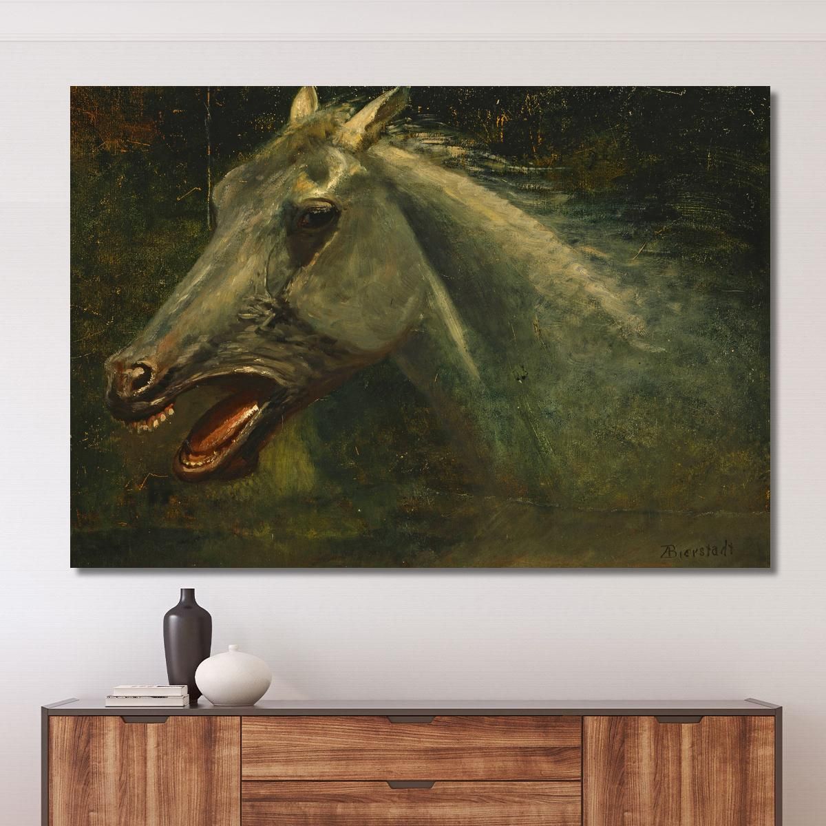 A Wild Stallion Uno Schizzo Ad Olio Originale Per The Last Of The Buffalo Albert Bierstadt abr141 quadro stampa su tela