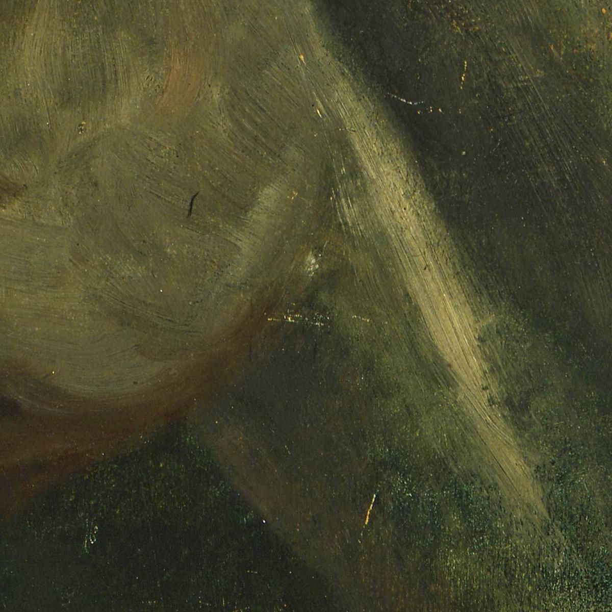 A Wild Stallion Uno Schizzo Ad Olio Originale Per The Last Of The Buffalo Albert Bierstadt abr141 quadro stampa su tela