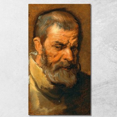 Testa Di Un Uomo Barbuto Anthony van Dyck avd30 quadro stampa su tela