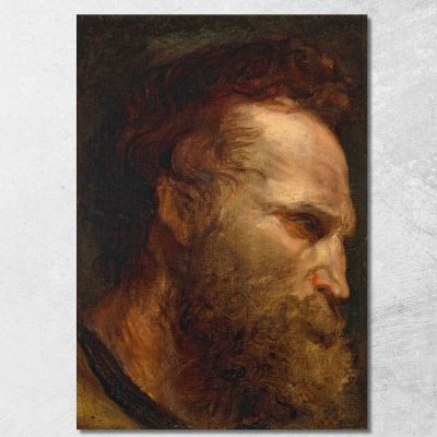 Studio Della Testa Di Un Uomo Barbuto 2 Anthony van Dyck avd32 quadro stampa su tela