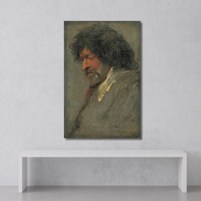 Studio Capo Di Un Uomo Anthony van Dyck, avd34 quadro stampa su tela