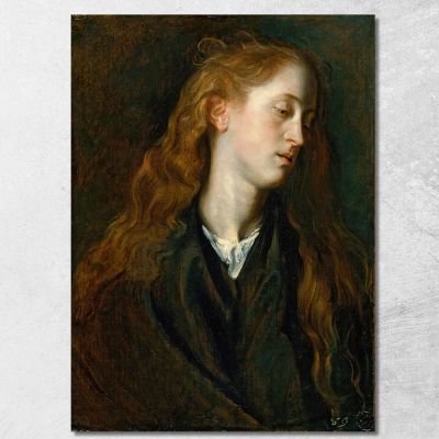 Testa Di Studio Di Una Giovane Donna Anthony van Dyck avd105 quadro stampa su tela