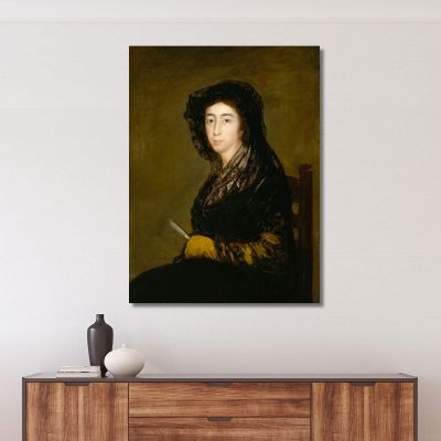 La Signora Amalia Bonells De Costa Francisco de Goya fgy14 quadro stampa su tela