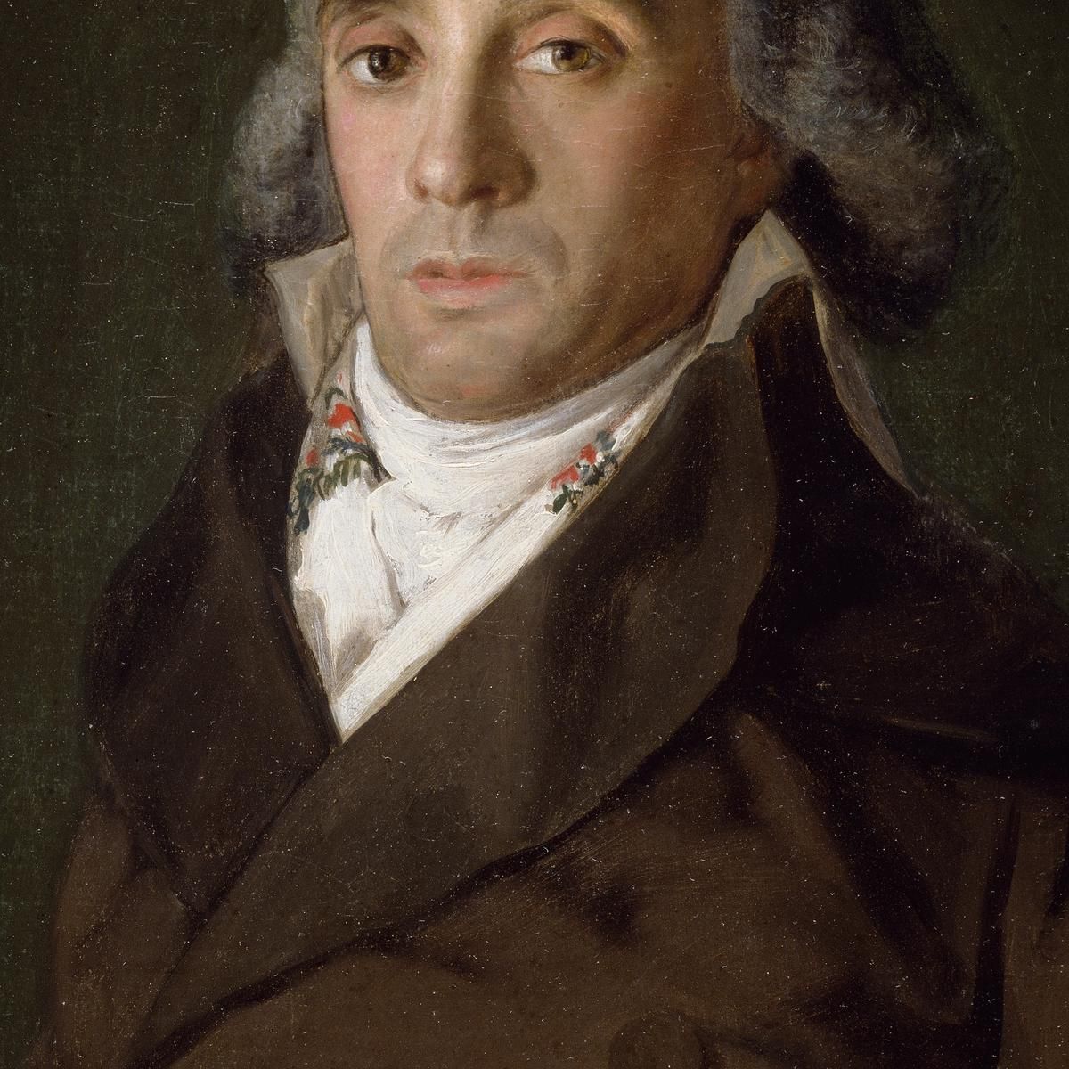 Il Conte Del Tago Francisco de Goya fgy15 quadro stampa su tela