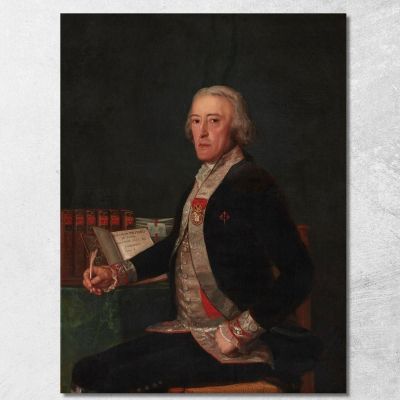 Ritratto Di Félix Colón Di Larriátegui Francisco de Goya fgy44 quadro stampa su tela