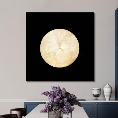 Serie Suw N. 14 Cigno Hilma af Klint hak20 quadro stampa su tela