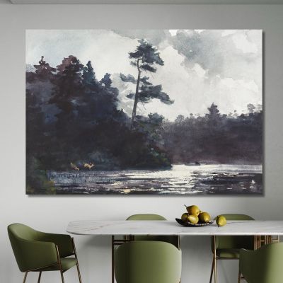 Lago Adirondack Winslow Homer whm14 quadro stampa su tela