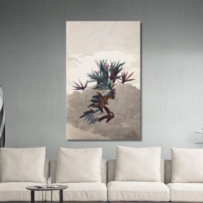 Hügel Mit Maguey-Büscheln Winslow Homer, whm87 drucken auf leinwand