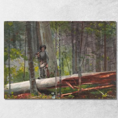Cacciatore Negli Adirondack Winslow Homer whm92 quadro stampa su tela