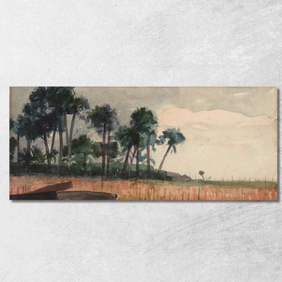 Palme Rosse Winslow Homer whm132 quadro stampa su tela