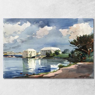 Bermuda Salt Kettle Winslow Homer whm153 quadro stampa su tela