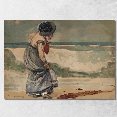 Sorpreso Winslow Homer whm175 quadro stampa su tela