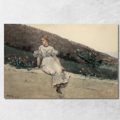 Il Muro Del Giardino Winslow Homer whm218 quadro stampa su tela