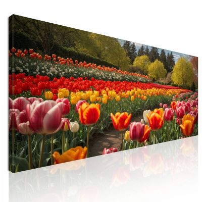 Quadro Botanico Campo Di Tulipani Colorati In Primavera bow12 quadro stampa su tela