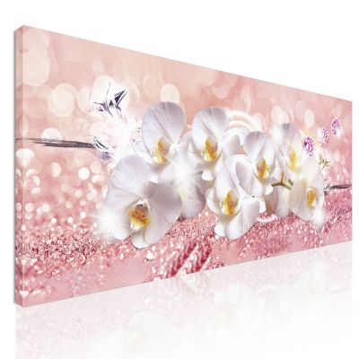 Quadro Botanico Fiori Di Orchidea Bianca Su Sfondo Rosa bow16 quadro stampa su tela