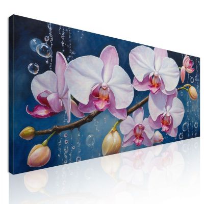 Quadro Botanico Orchidee Bianche E Rosa Con Bolle Su Sfondo Blu bow23 quadro stampa su tela