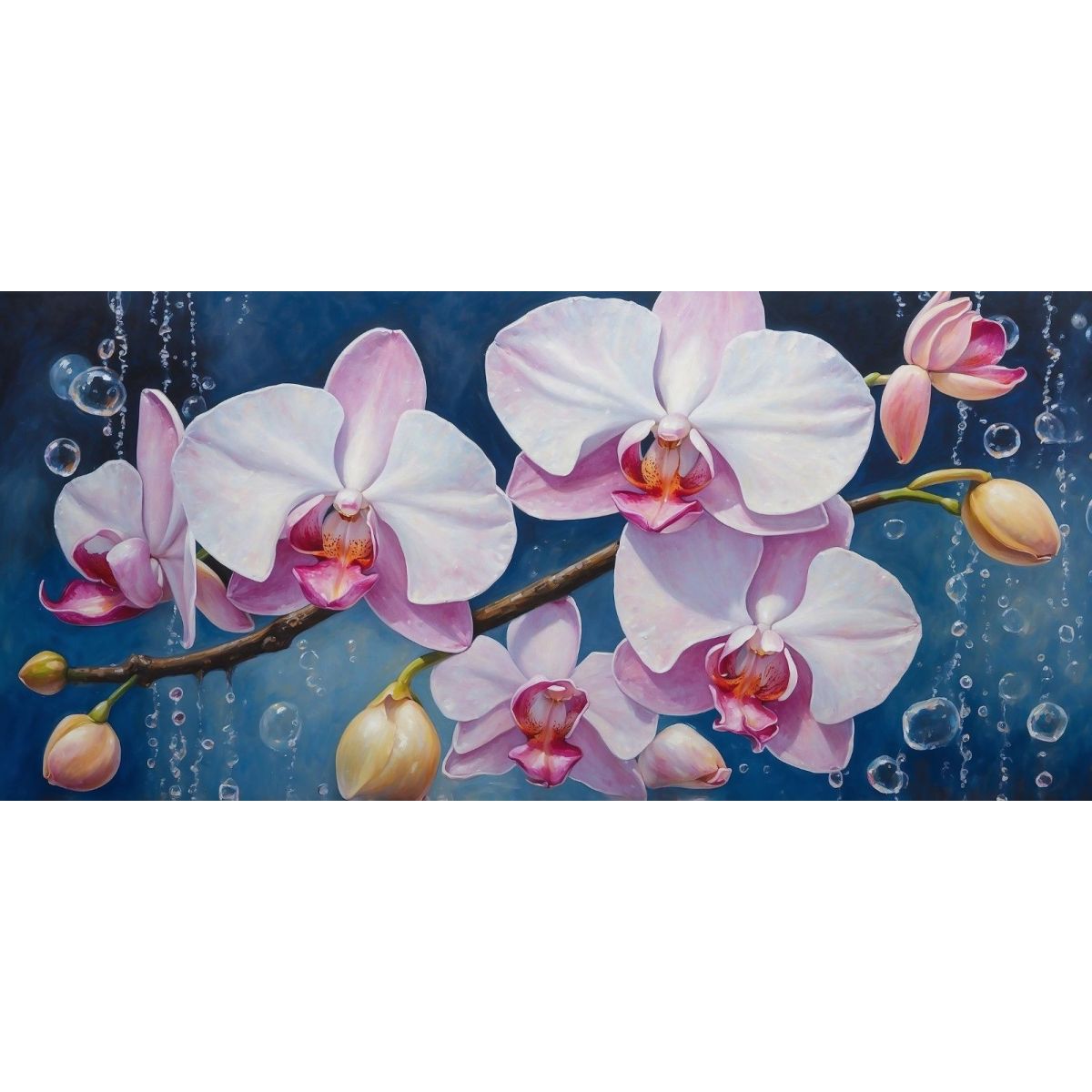 Quadro Botanico Orchidee Bianche E Rosa Con Bolle Su Sfondo Blu bow23 quadro stampa su tela