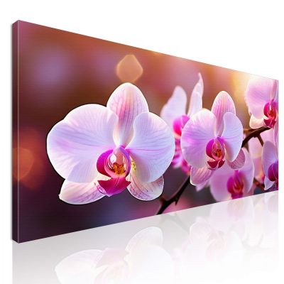 Quadro Botanico Orchidee Rosa Illuminate Al Tramonto bow26 quadro stampa su tela