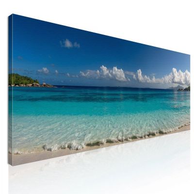 Quadro Paesaggio Mare Spiaggia Tropicale Con Acque Turchesi seal5 quadro stampa su tela