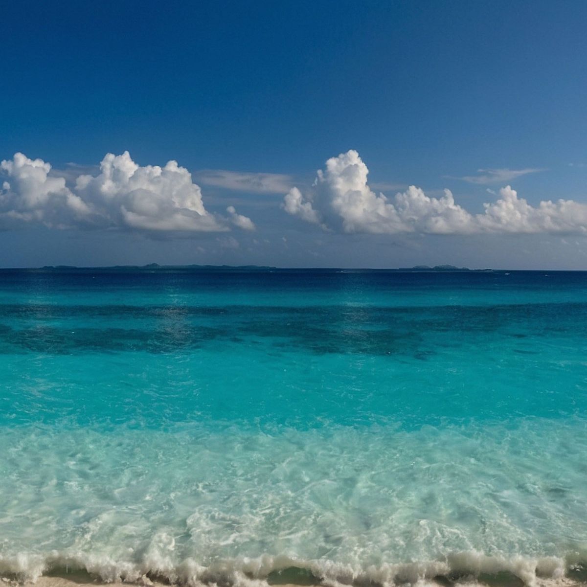 Quadro Paesaggio Mare Spiaggia Tropicale Con Acque Turchesi seal5 quadro stampa su tela