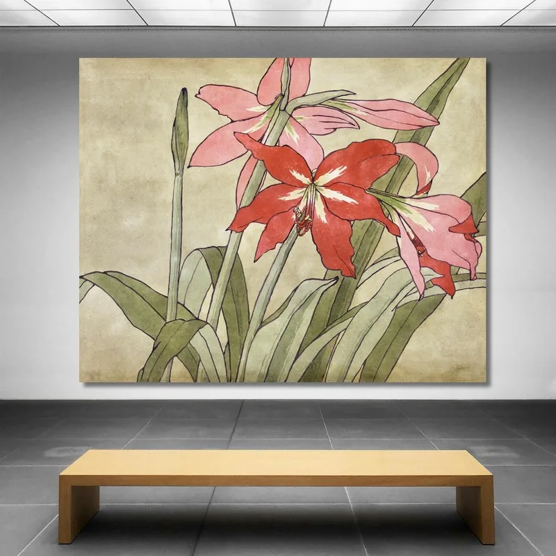 Amaryllis Hannah Borger Overbeck