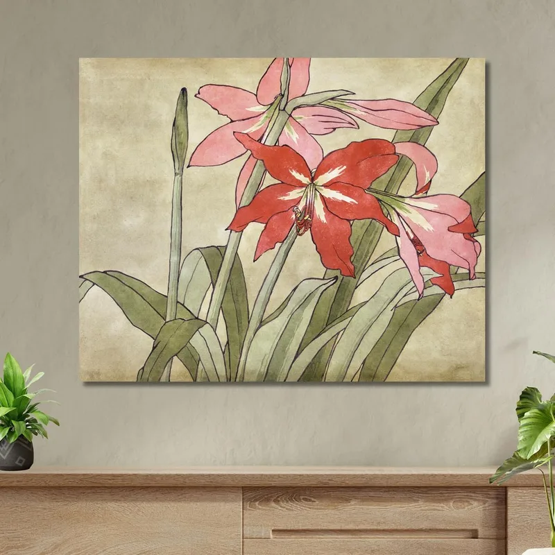 Amaryllis Hannah Borger Overbeck