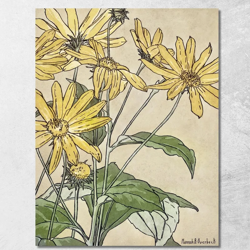 Girasoli Hannah Borger Overbeck quadro stampa su tela